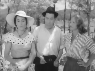 ニワトリは少しだけ近くに海岸がヴィンテージビデオ鑑賞をカメラで左を読み取るこ